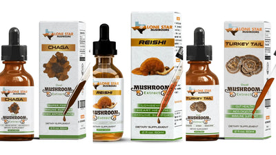 Unlocking the power of Mushroom Extracts: A guide to better health
