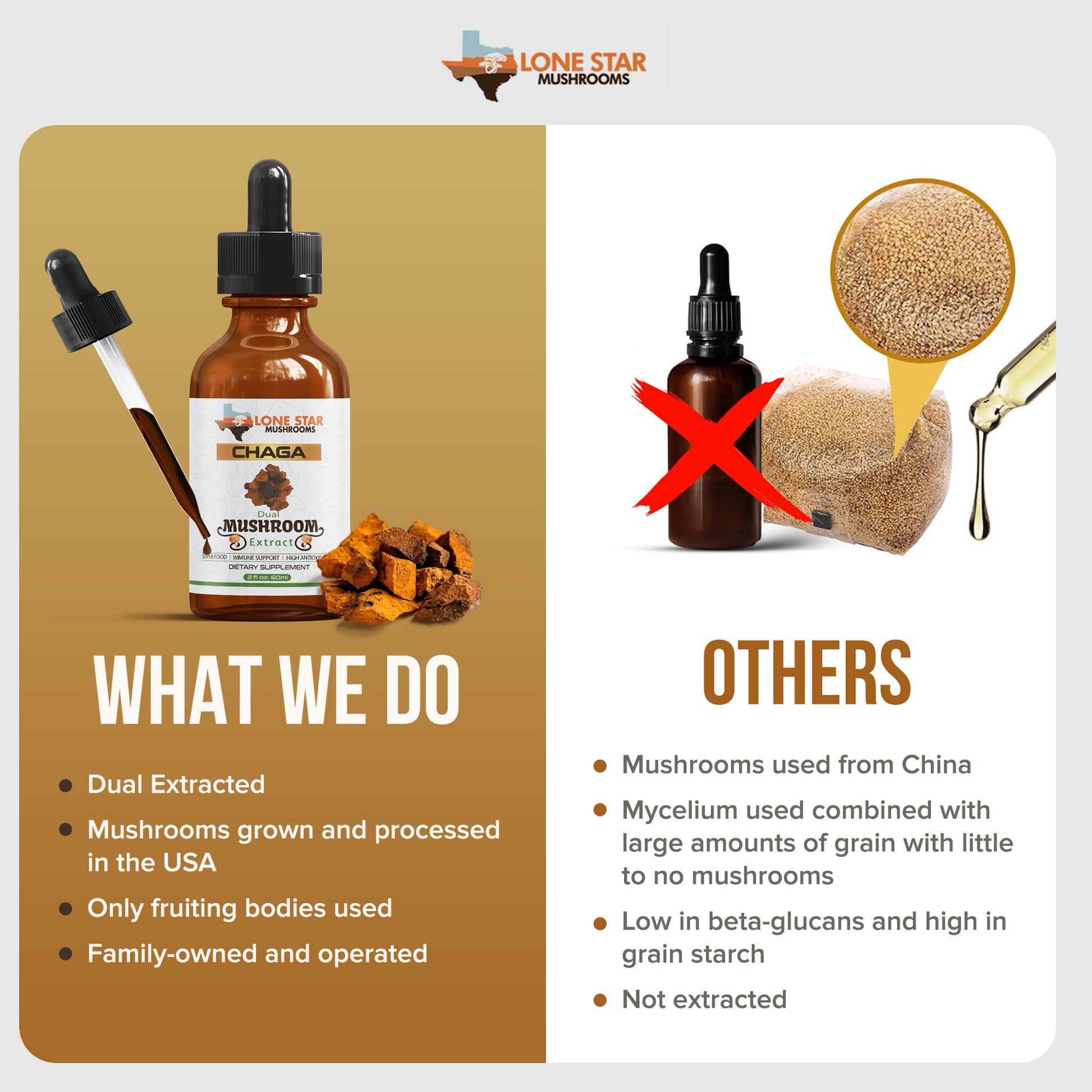 Chaga Mushroom difference Lone Star Mushroom vs other Mushrooms