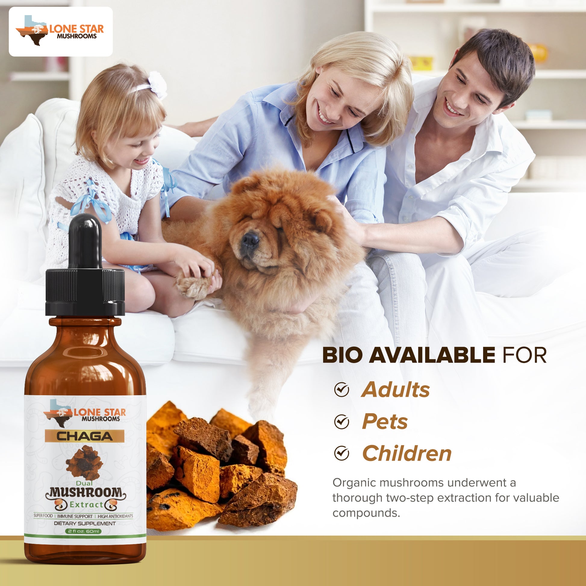 Chaga Mushroom Dual Extract