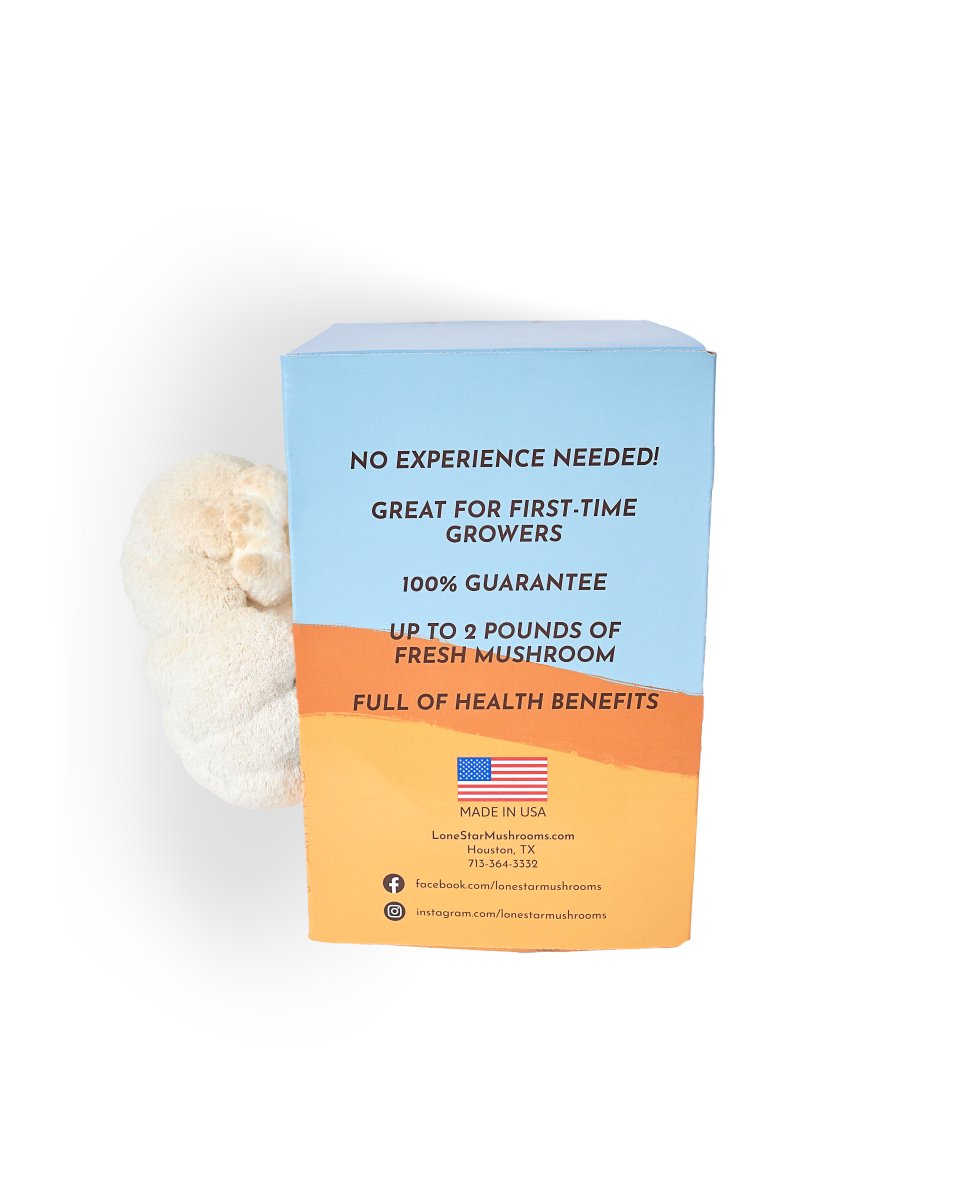 lions mane extract