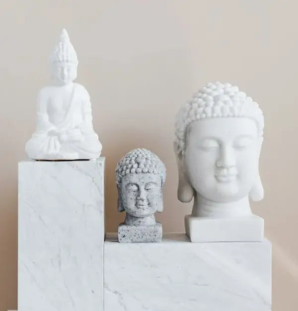 Ancient Wisdom & Mushroom Dual Extracts