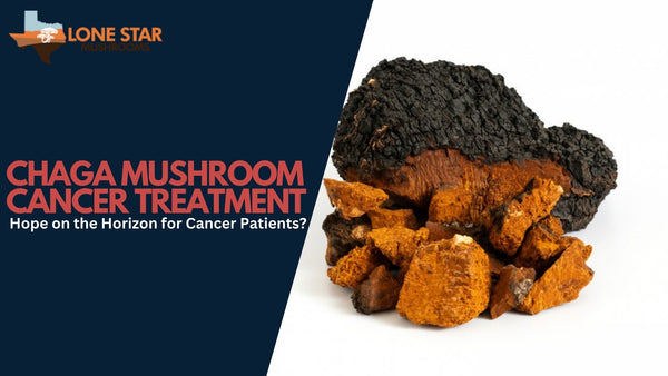 Chaga Mushroom Cancer Treatment: Hope on the Horizon for Cancer Patients?