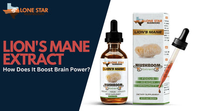 Lion's Mane Extract: How Does It Boost Brain Power?