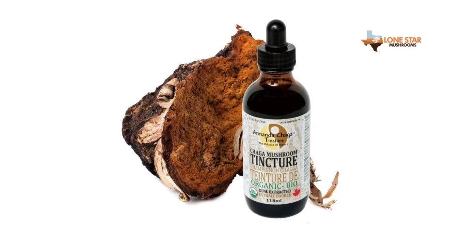 Chaga Mushroom Tincture
