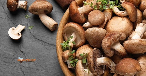 What is the Dried Mushroom's Nutritional Value?