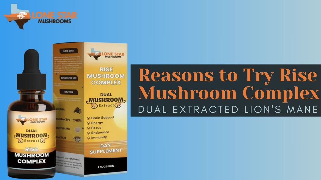 Reasons to Try Rise Mushroom Complex: Dual Extracted Lion's Mane
