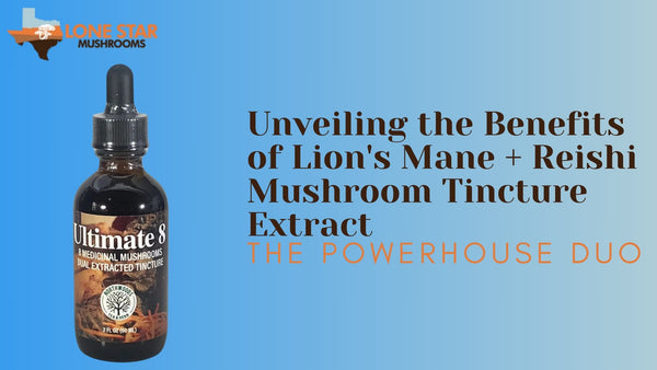 The Powerhouse Duo: Unveiling the Benefits of Lion's Mane + Reishi Mushroom Tincture Extract