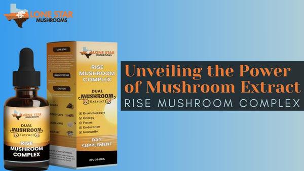 Rise Mushroom Complex: Unveiling the Power of Mushroom Extract