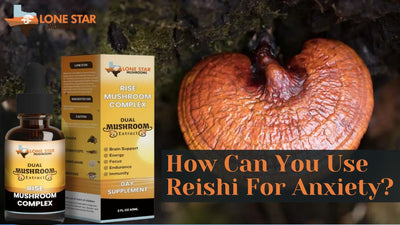 How Can You Use Reishi For Anxiety?