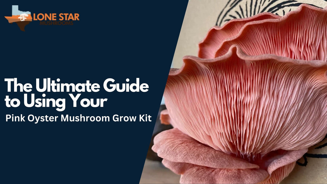 Pink Oyster Mushroom Grow Kit