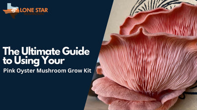 The Ultimate Guide to Using Your Pink Oyster Mushroom Grow Kit