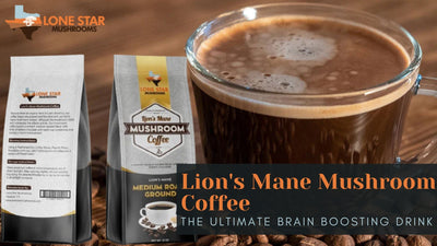 Lion's Mane Mushroom Coffee - The Ultimate Brain Boosting Drink