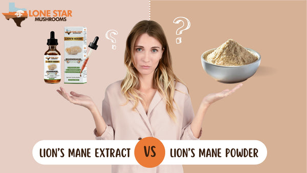 Lion’s Mane Extract Vs Lion’s Mane Powder