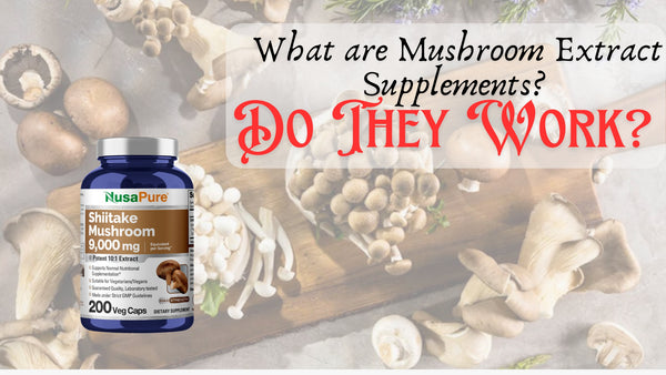 What are Mushroom Extract Supplements? Do They Work?