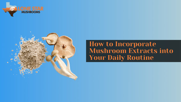 How to Incorporate Mushroom Extracts into Your Daily Routine