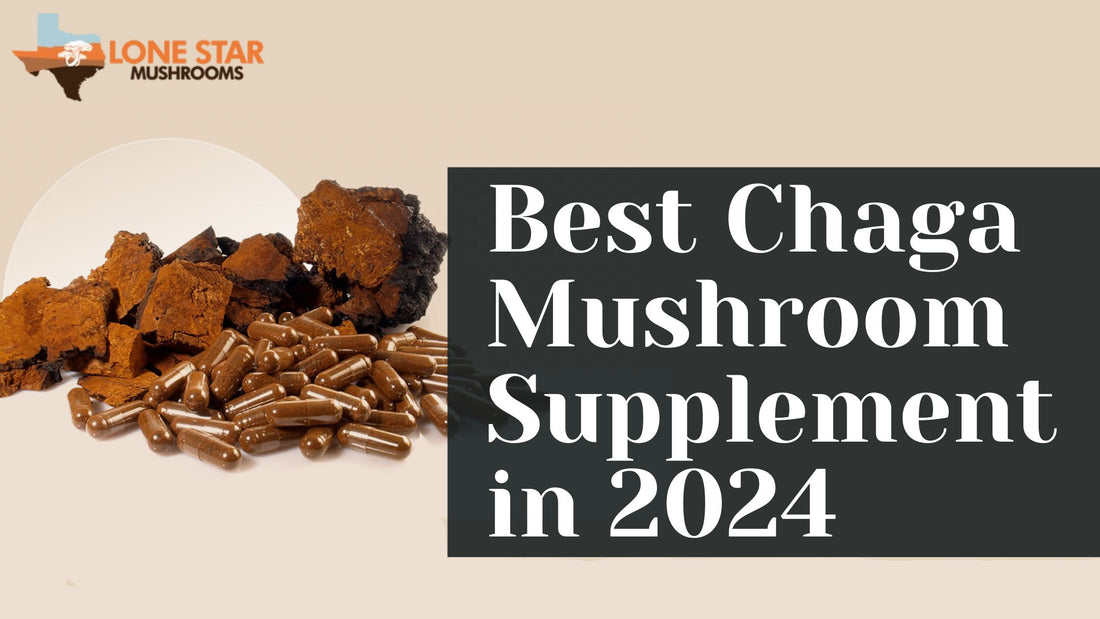 Best Chaga Mushroom Supplement in 2024