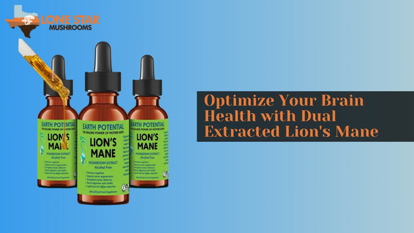 Optimize Your Brain Health with Dual Extracted Lion's Mane