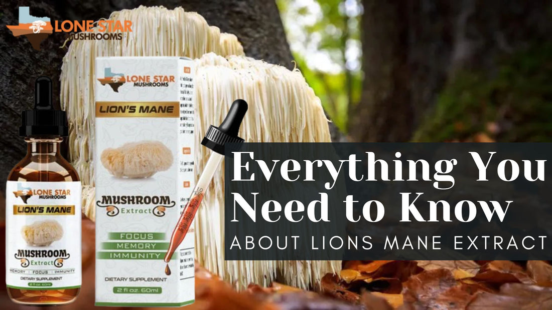 Everything You Need to Know About Lions Mane Extract