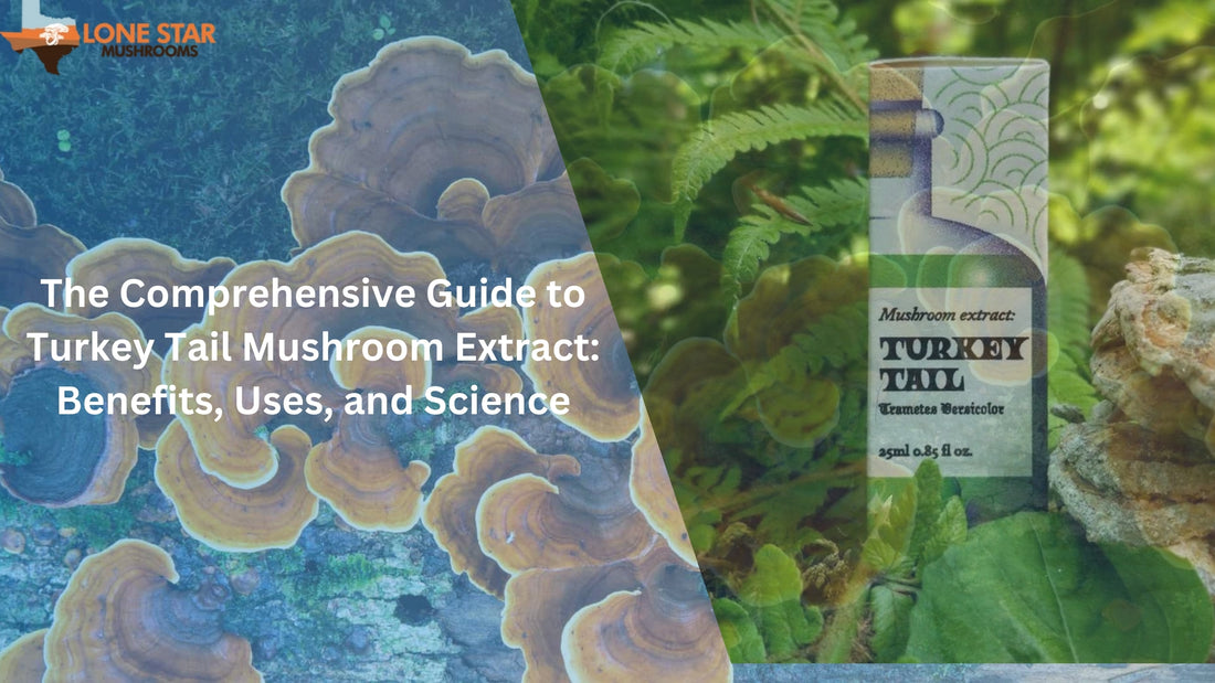 Turkey Tail Mushroom Extract