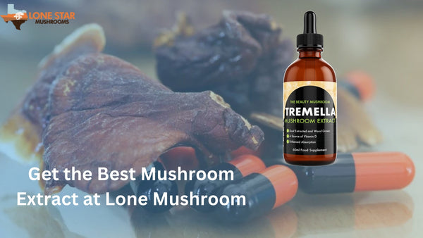 Get the Best Mushroom Extract at Lone Mushroom