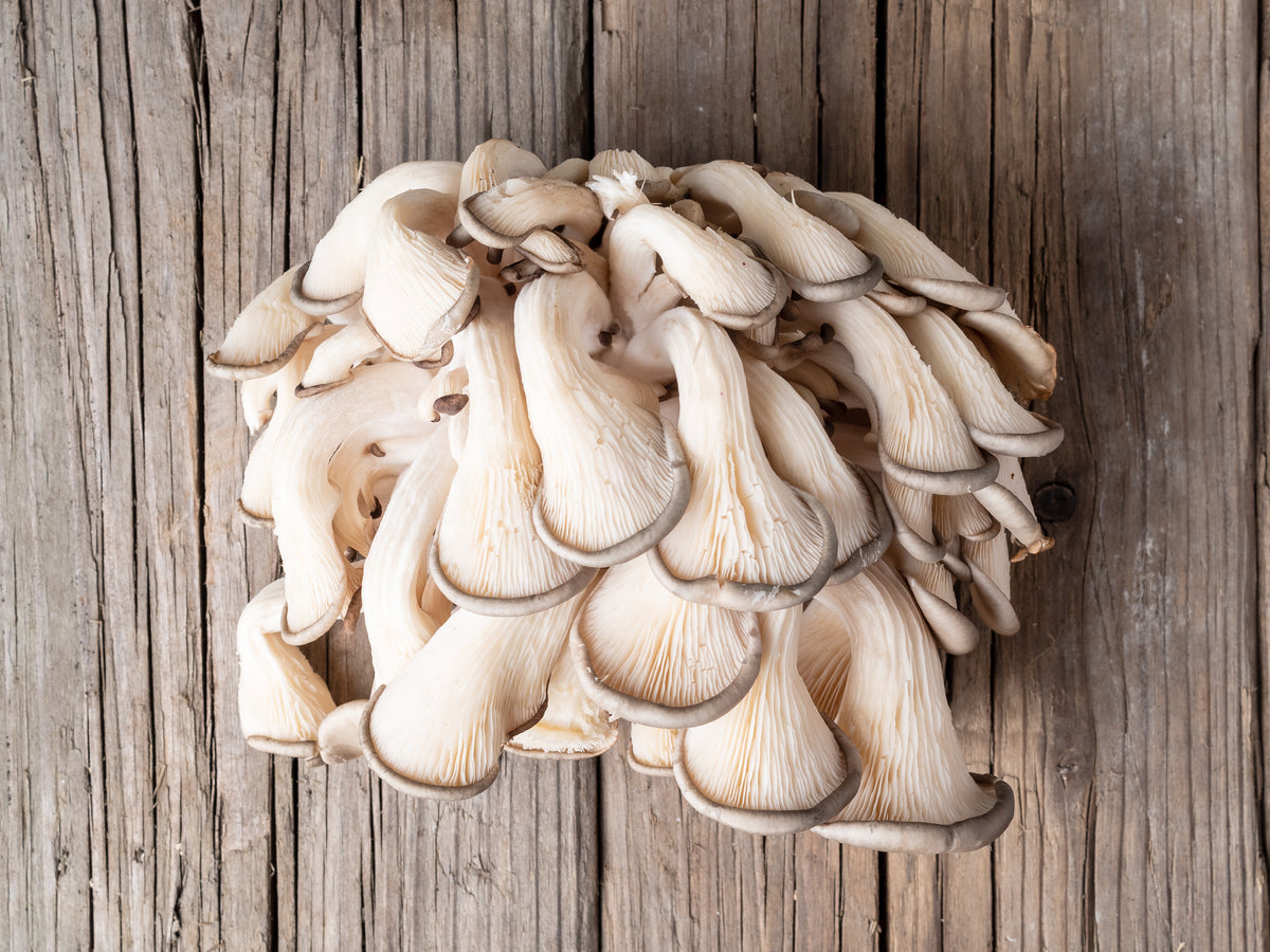 cooking oyster mushrooms