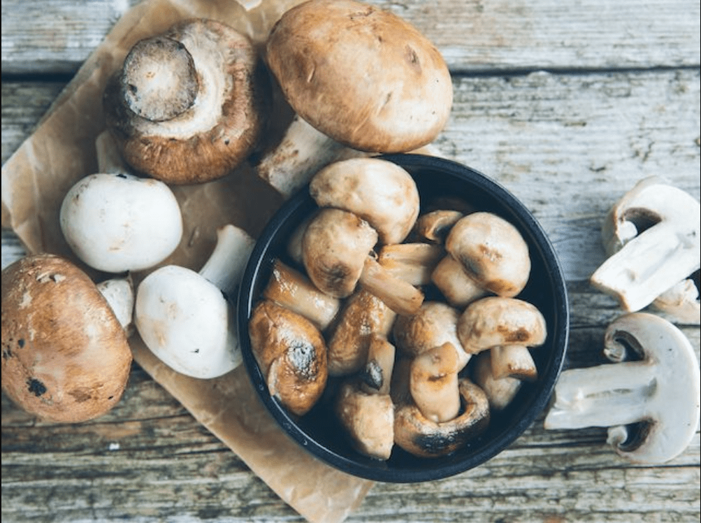 edible mushrooms