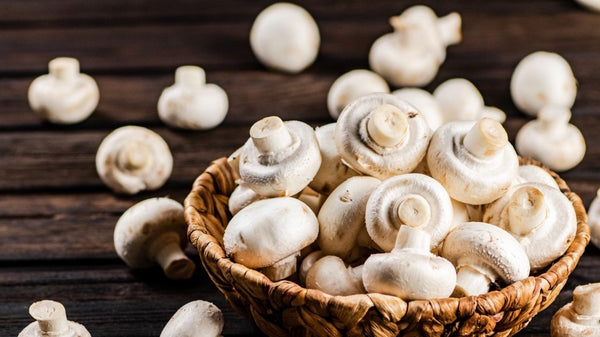 Why Mushroom Coffee Can Be Your Daily Energizer