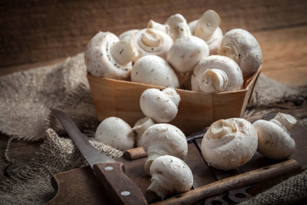 10 Most Common Types of Mushrooms