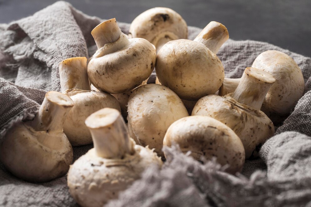 How high-protein mushrooms are changing the game for plant-based diets