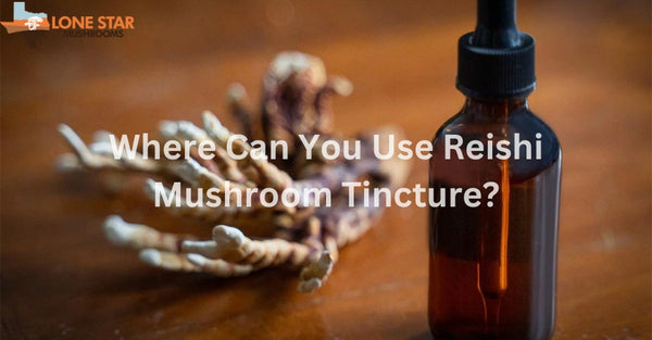 Where Can You Use Reishi Mushroom Tincture?