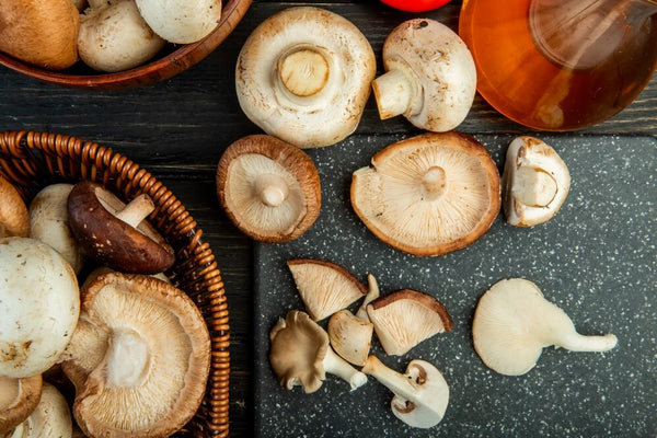 The Mushroom Extracts of the Future: Health and Wellness