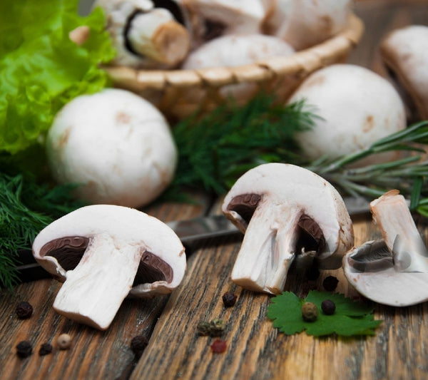 Unleashing the Potential of Medicinal Mushrooms: A Comprehensive Guide