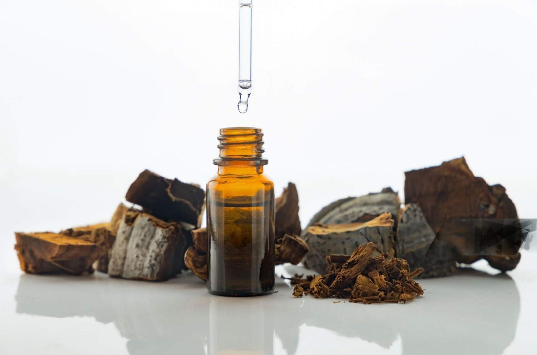 Maximizing Mushroom Complex: Health Benefits & Potency