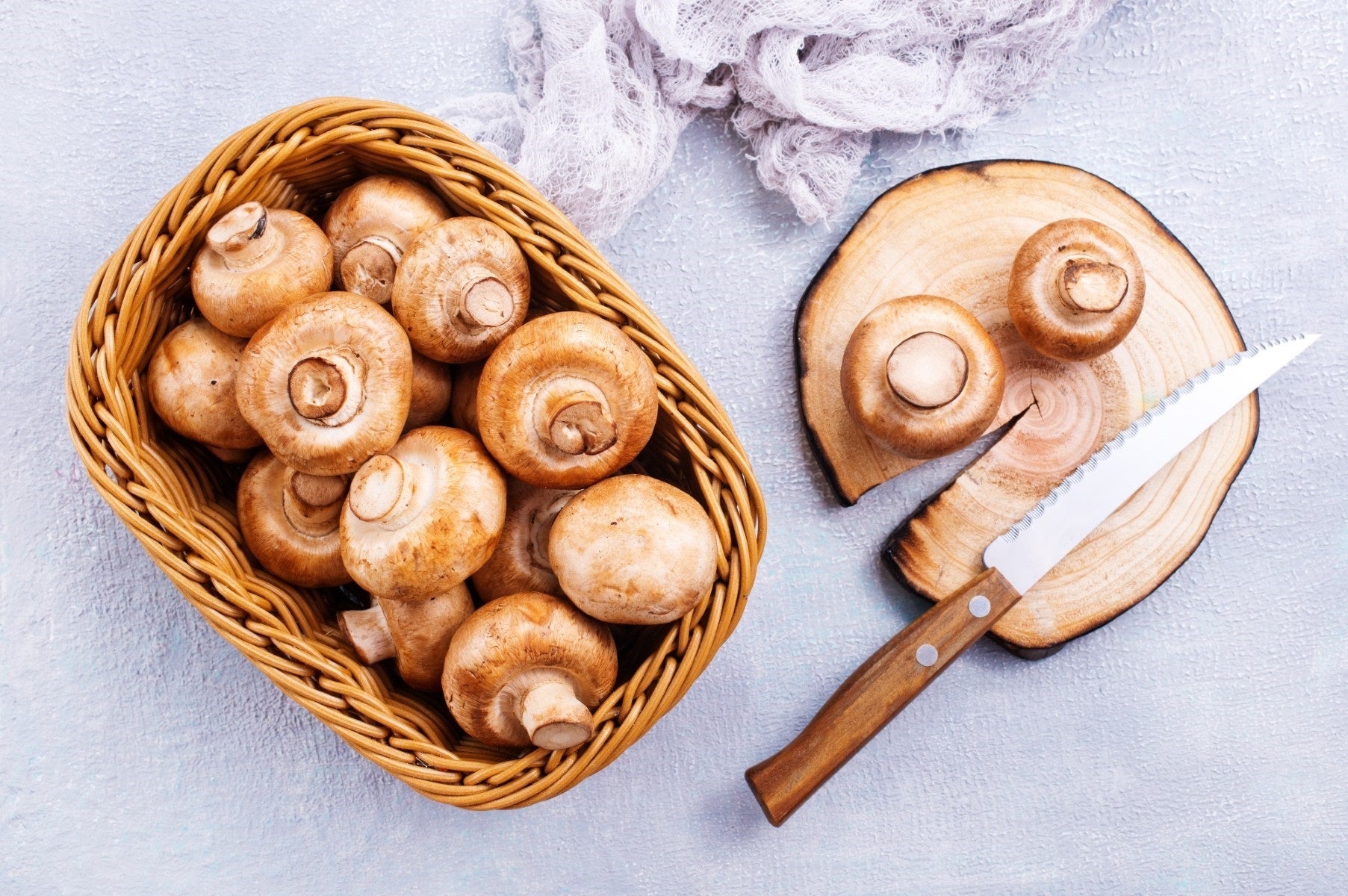 The Benefits of Mushroom Extracts