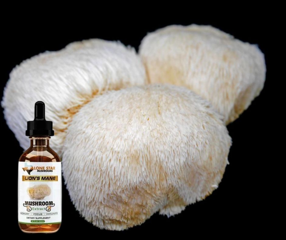 Lion’s Mane Extract: Fuel Your Mental Agility