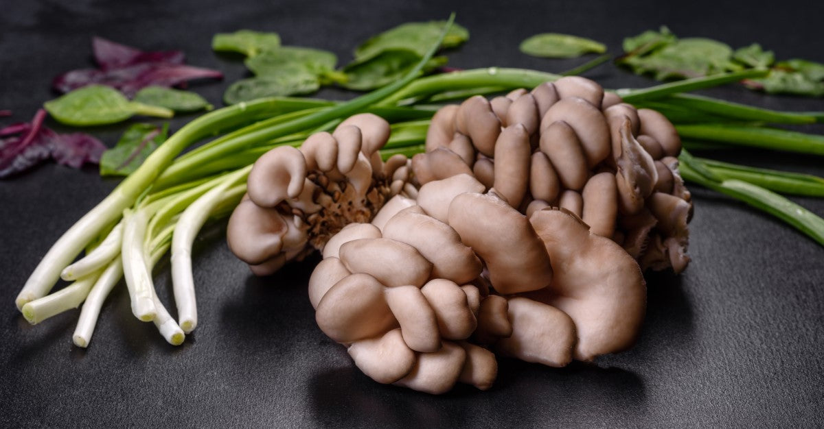 Growing Mushrooms at Home