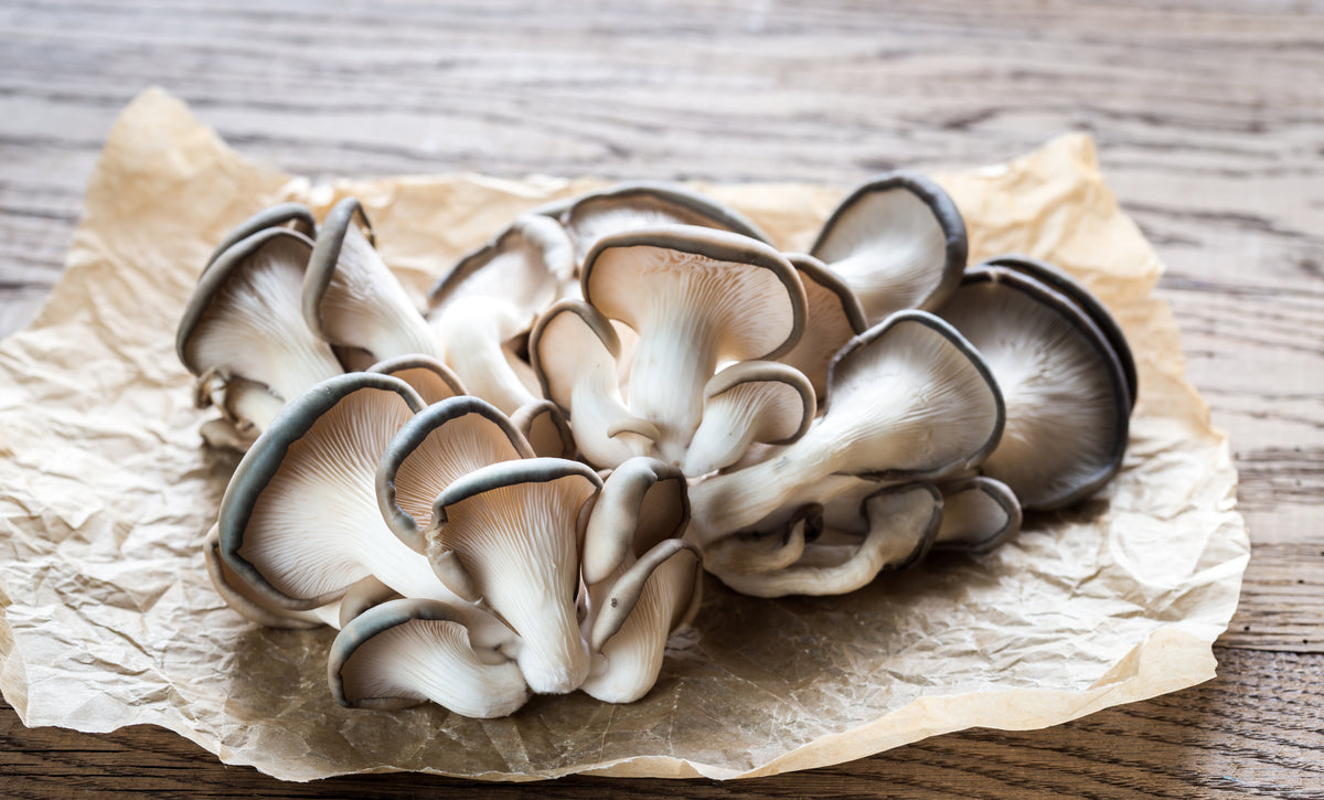 oyster mushrooms