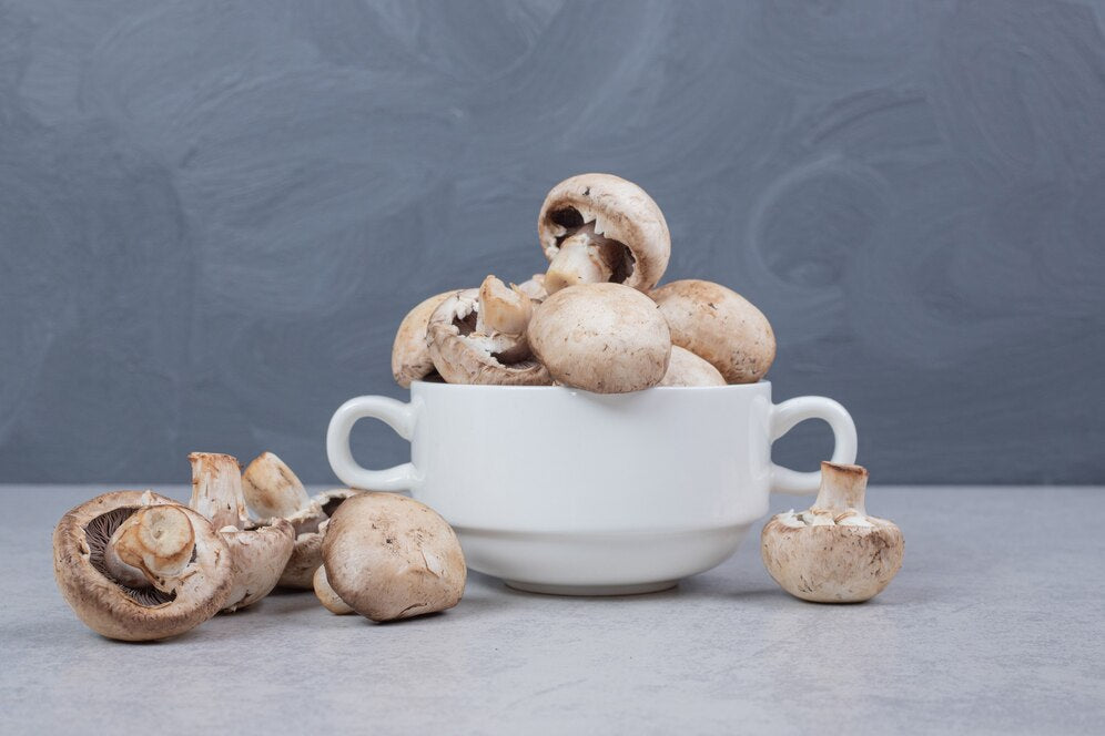 Reishi Extract: 5 Powerful Benefits to Elevate Immunity and Beyond