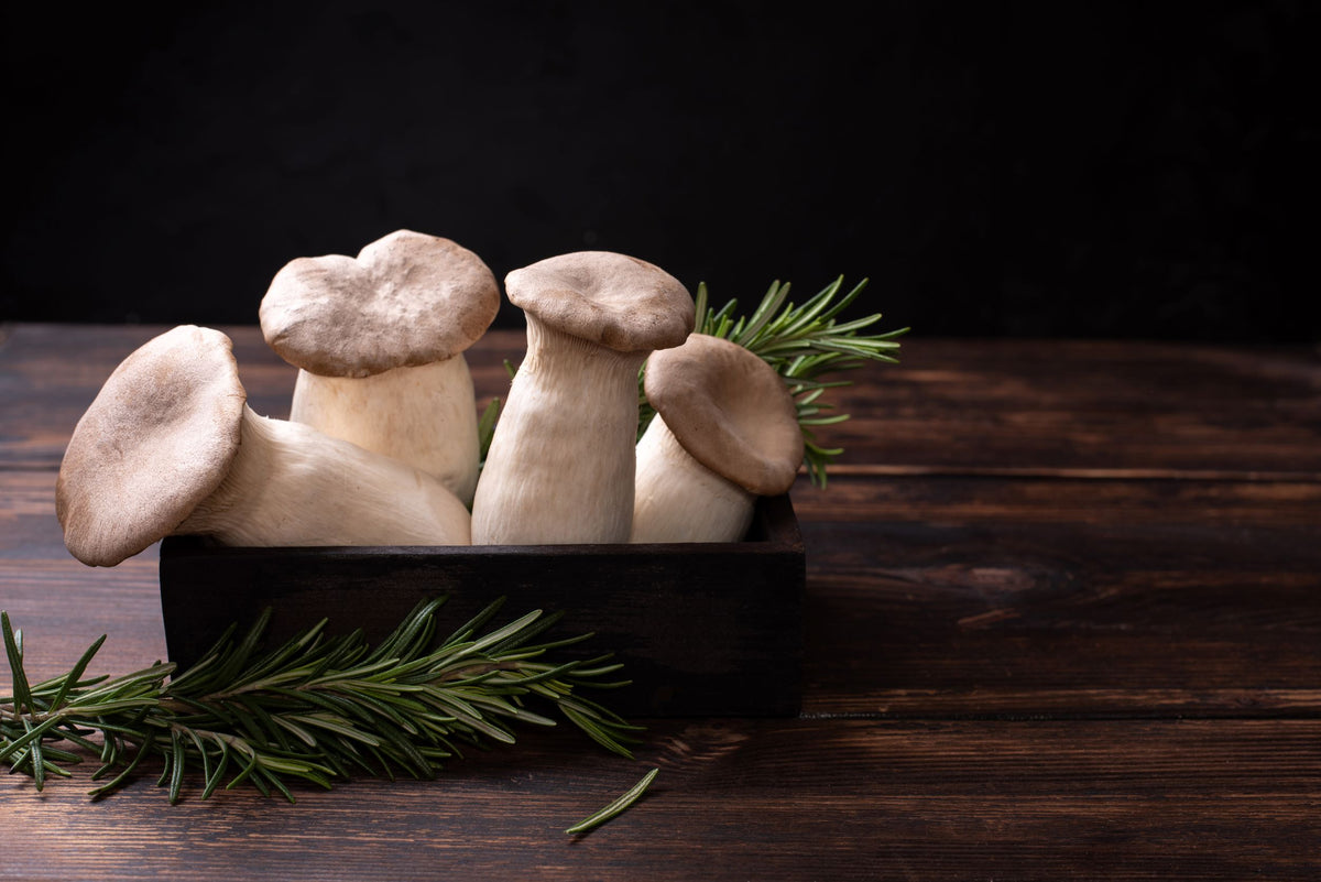 How to Cook Oyster Mushrooms