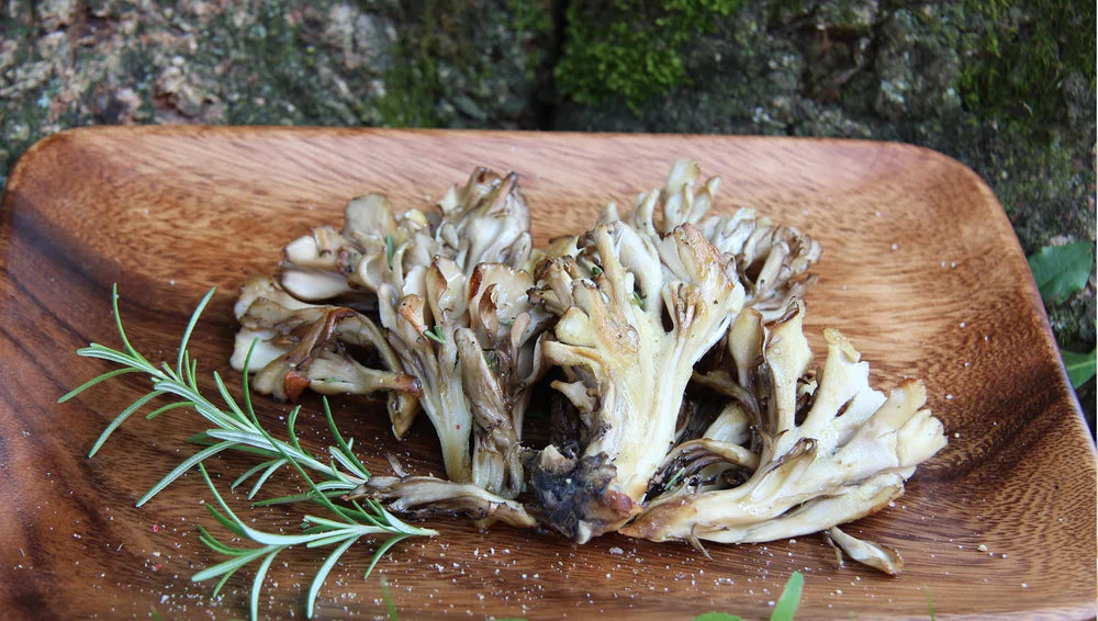 maitake mushrooms
