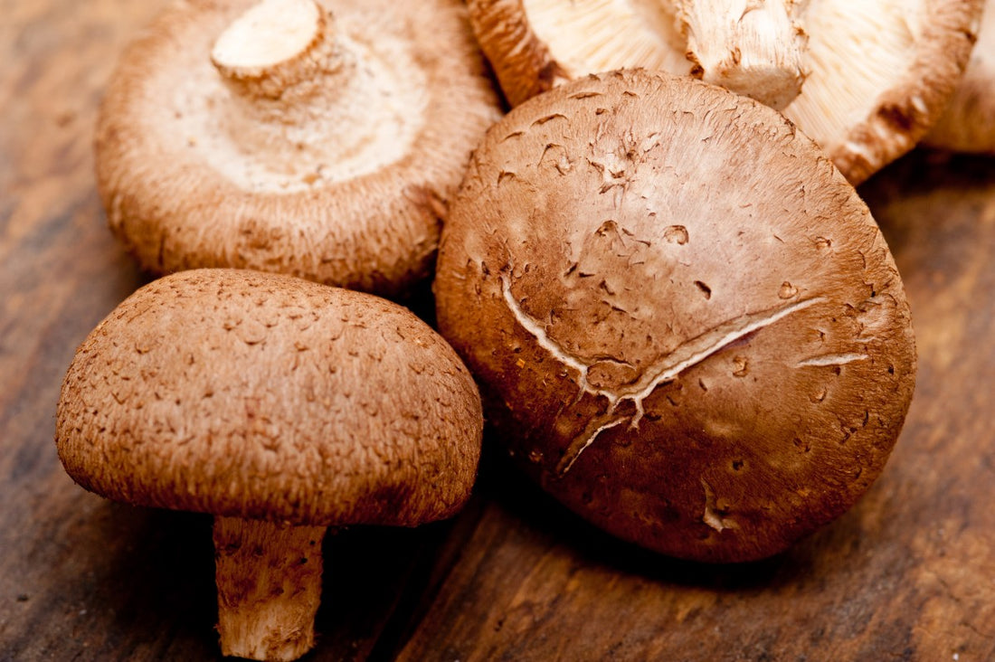 shittake mushrooms
