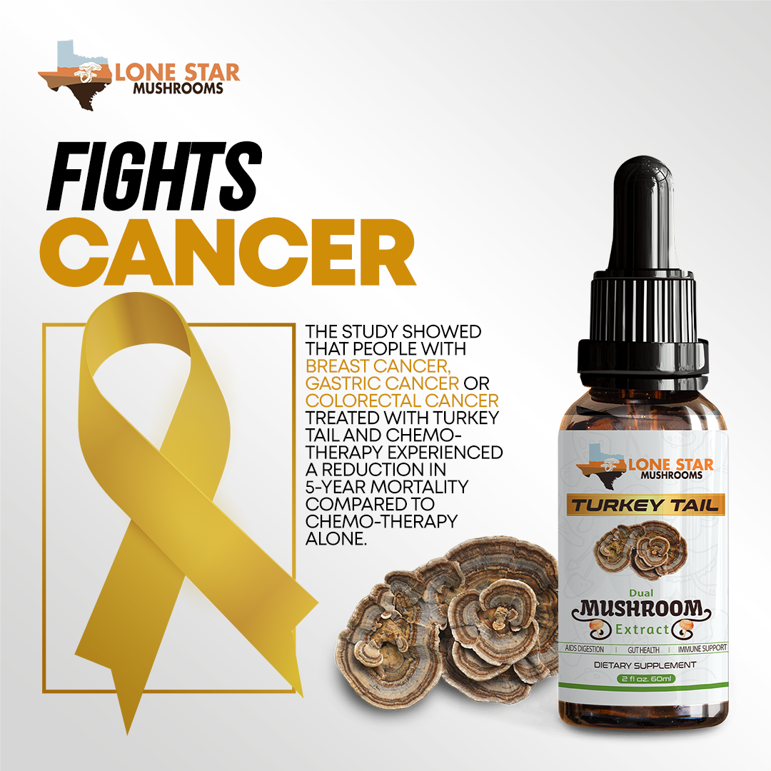 Turkey Tail Fight Cancer