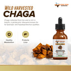 Chaga mushroom benefit