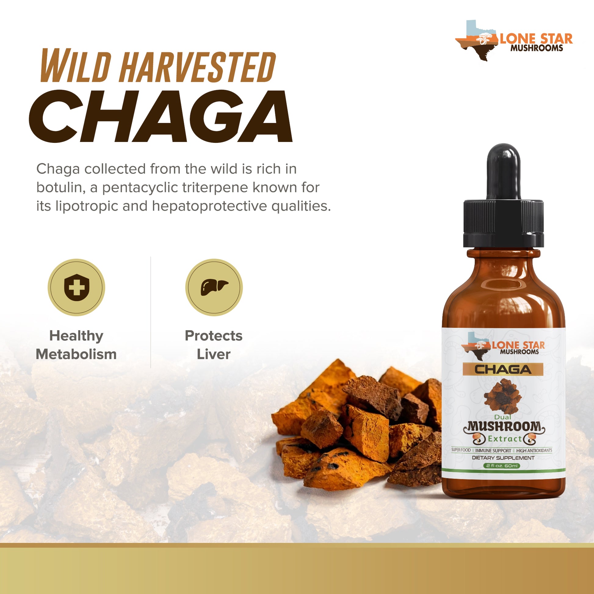 Chaga mushroom benefit