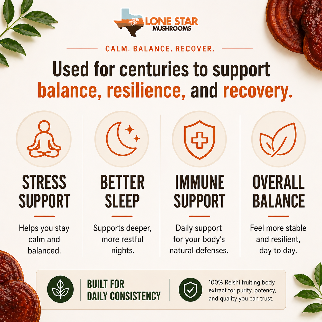 Reishi Mushroom Extract