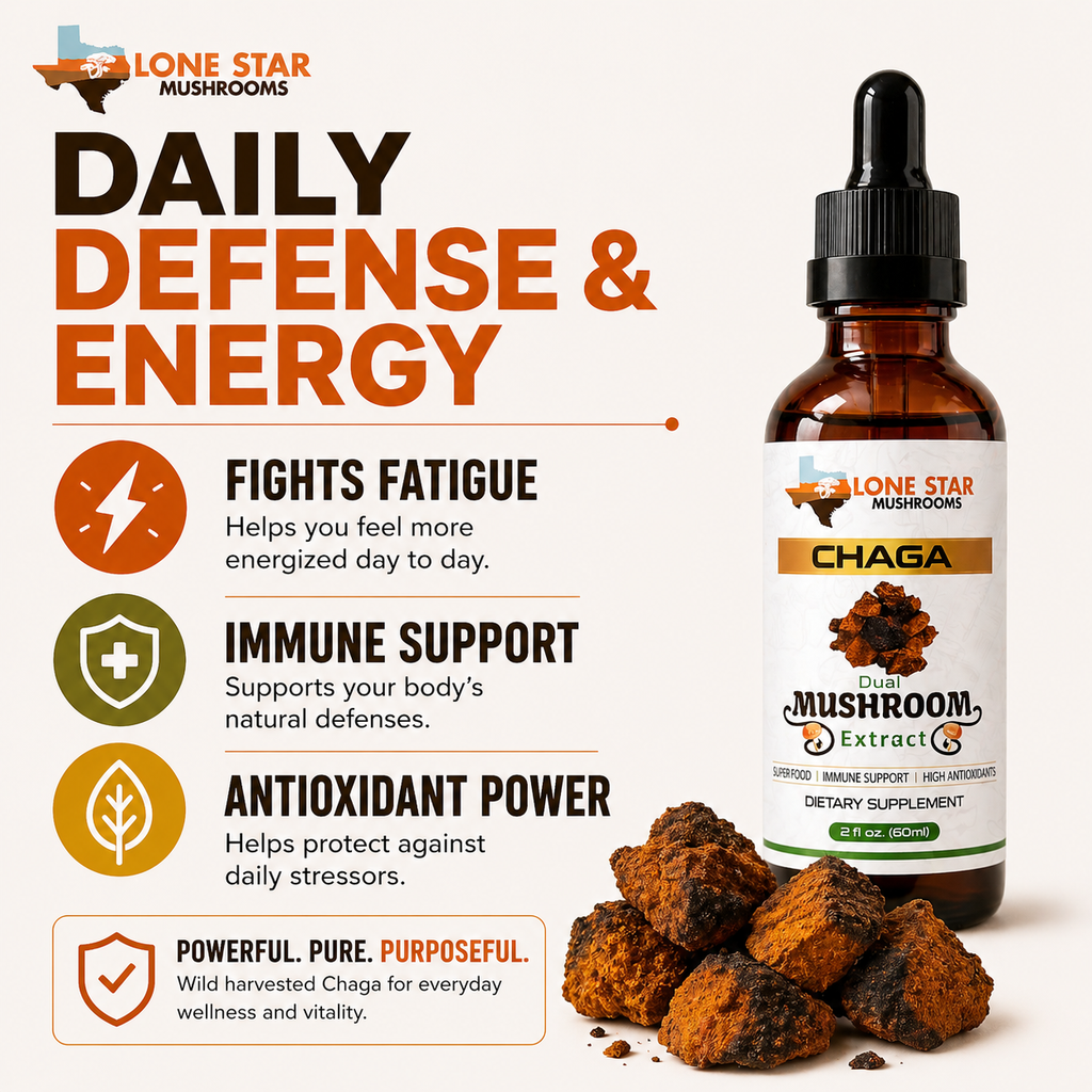 Chaga Mushroom Dual Extract