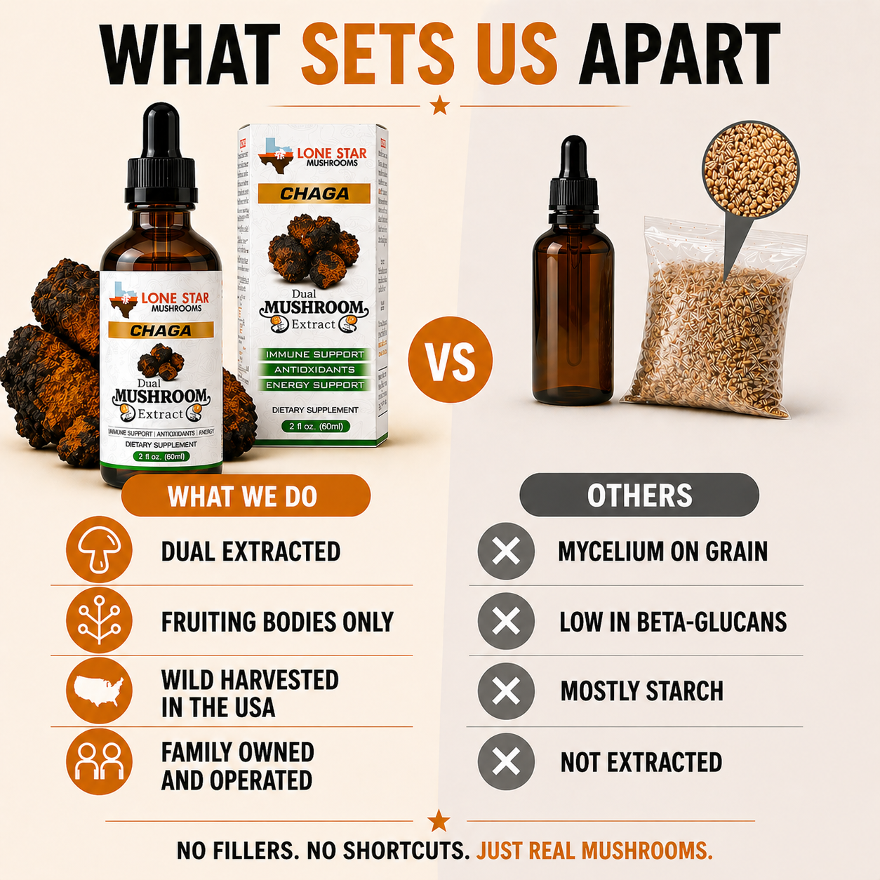 Chaga Mushroom Dual Extract