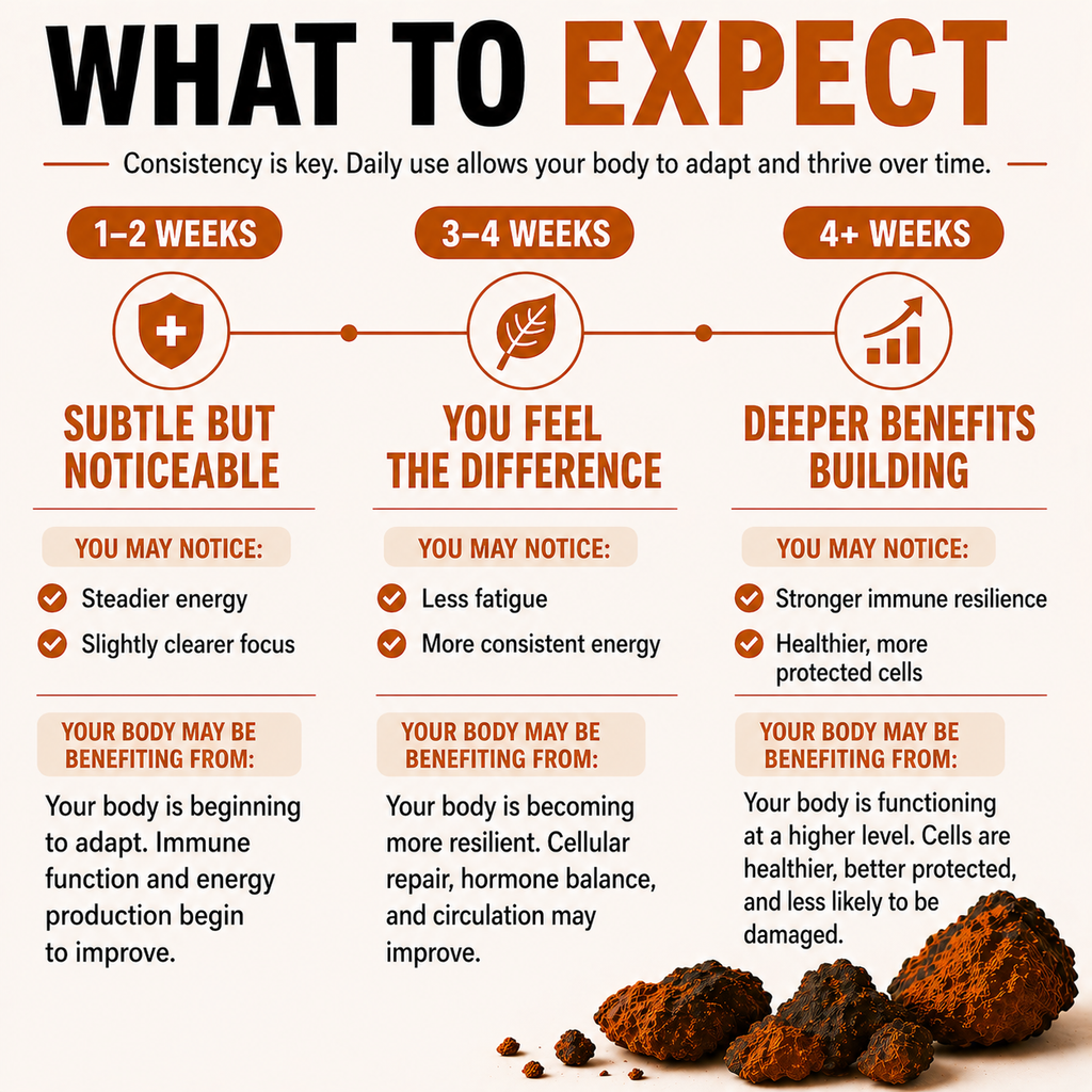 Chaga Mushroom Dual Extract