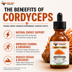 Cordyceps Dual Mushroom Extract