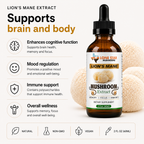 Unlock Your Brains Full Potential